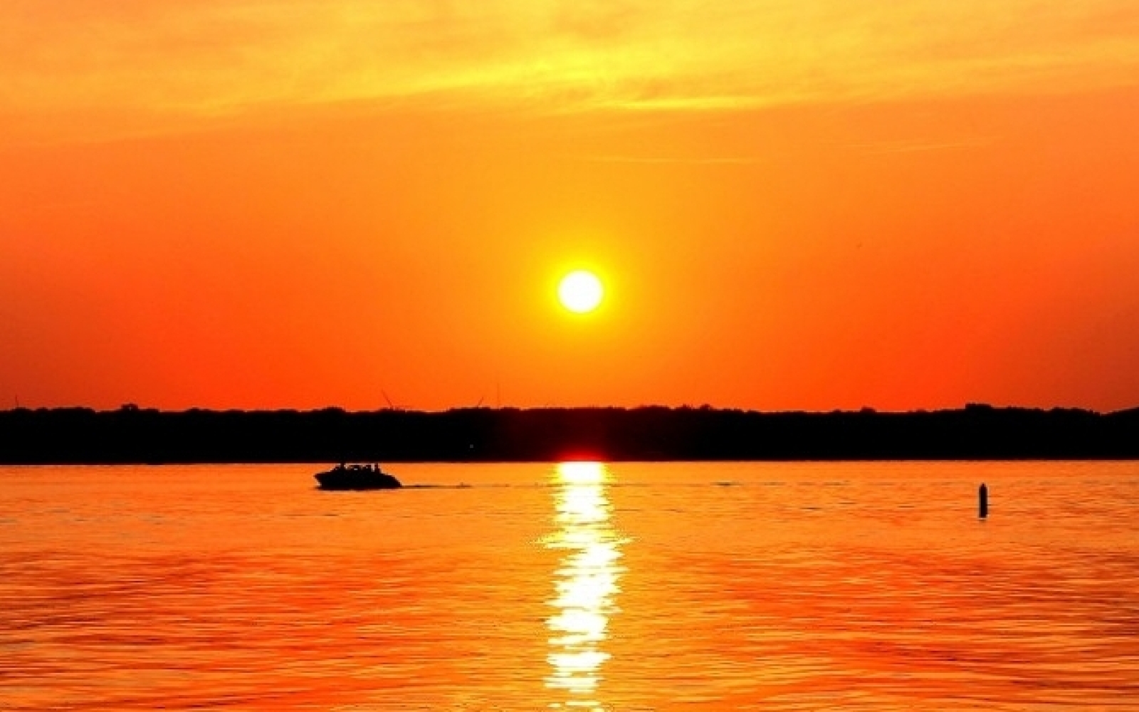 blog-image blog-image