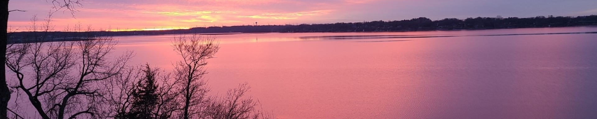 Header Image