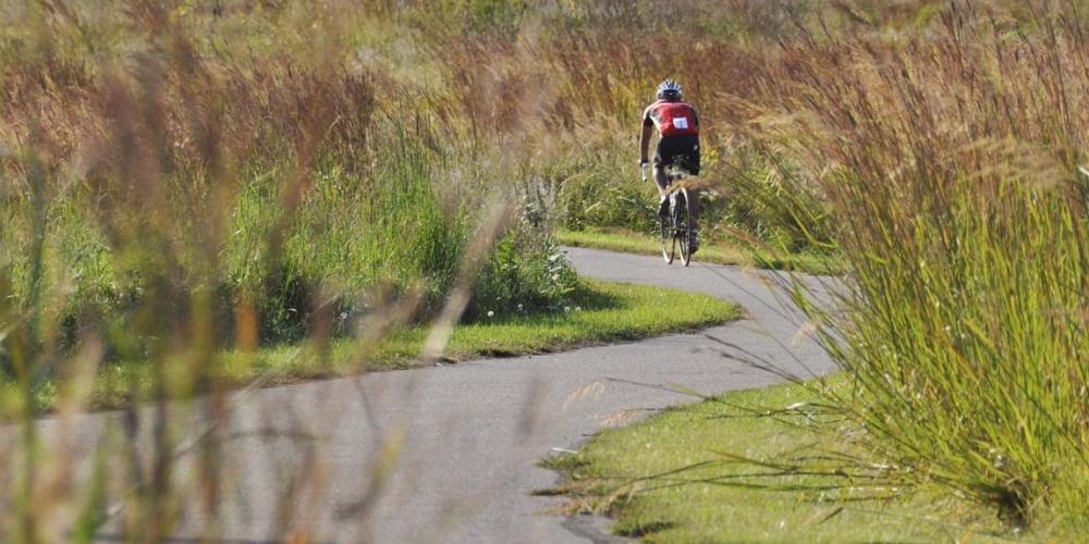 Trails are abundant in [[OfficeCity]]